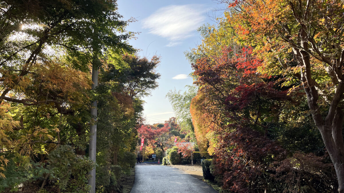 小林もみじ園　川口