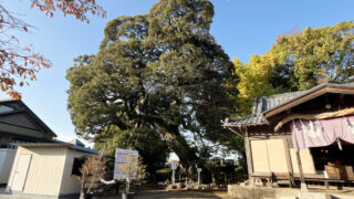 九重神社　川口