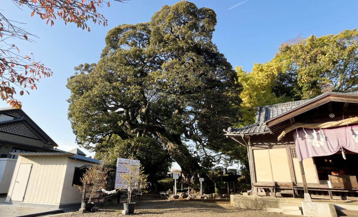 九重神社　川口