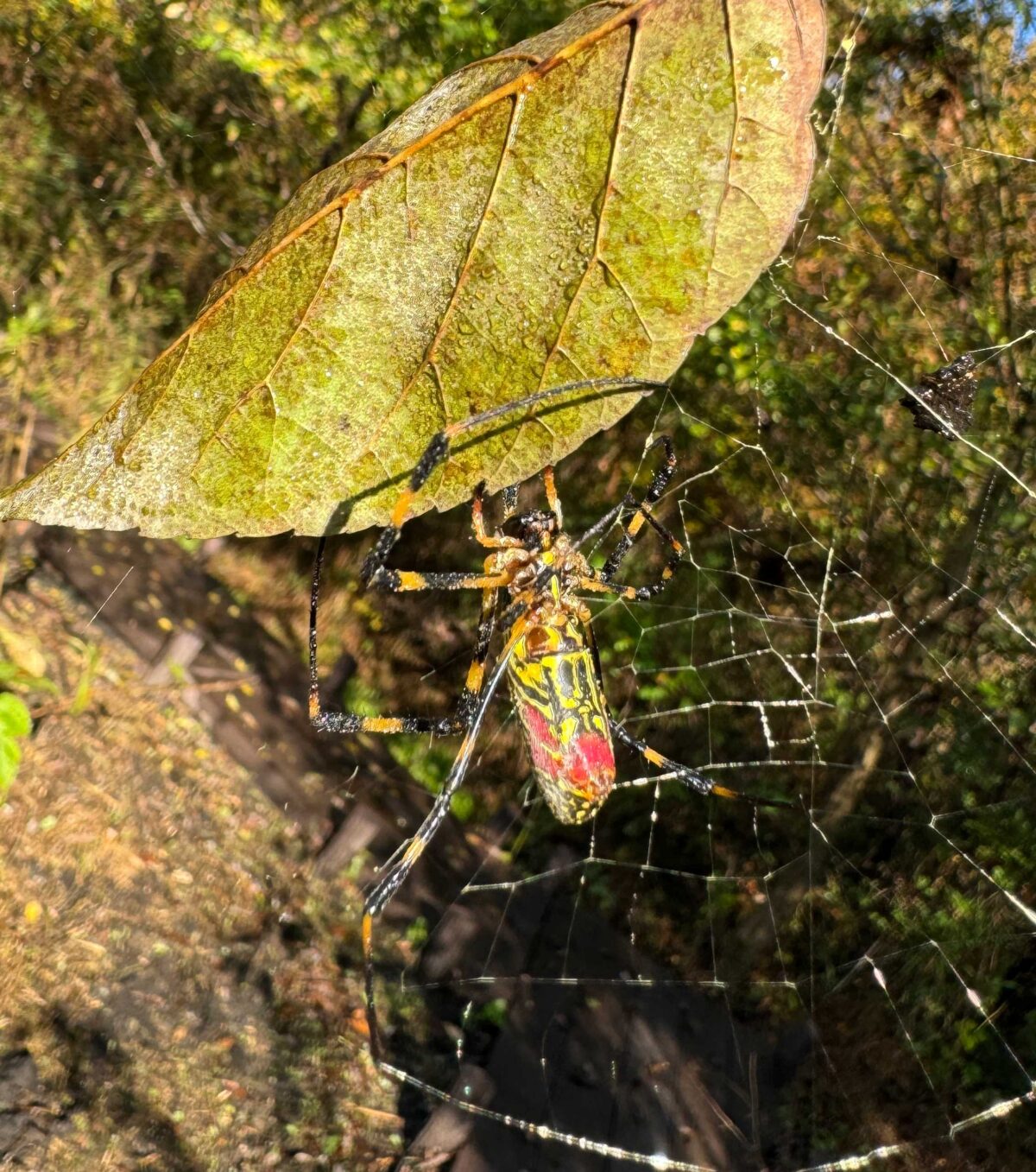 川口自然公園