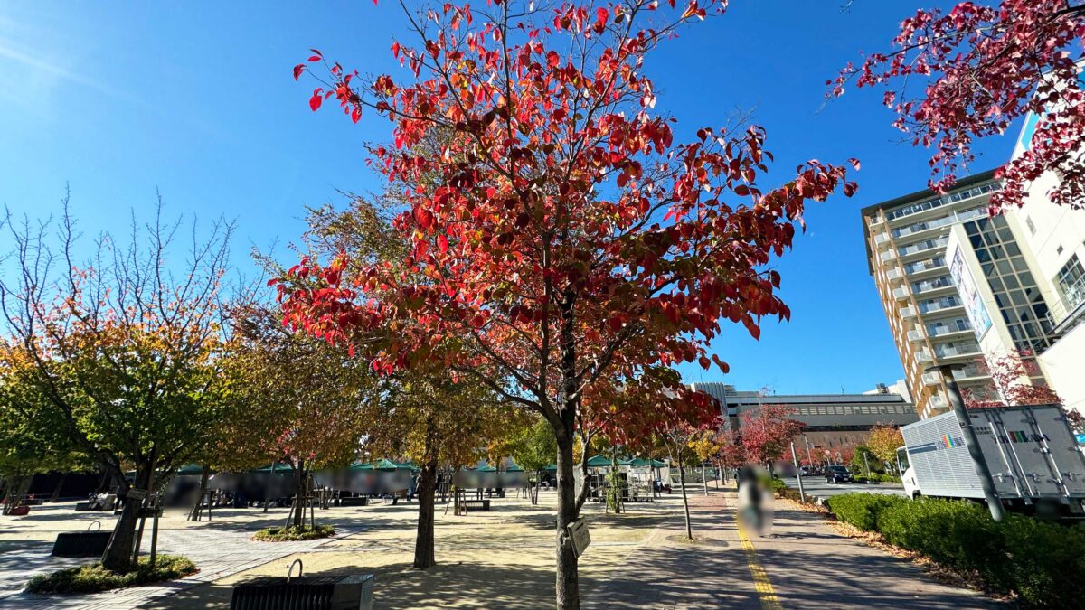 並木元町公園