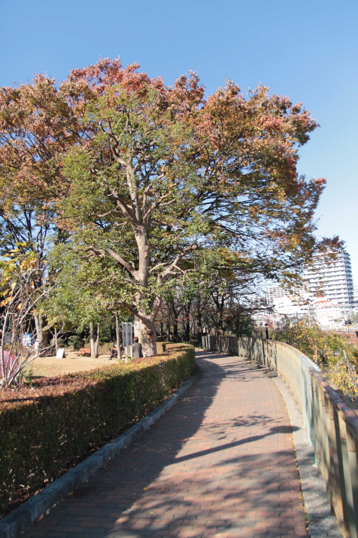 川口西公園