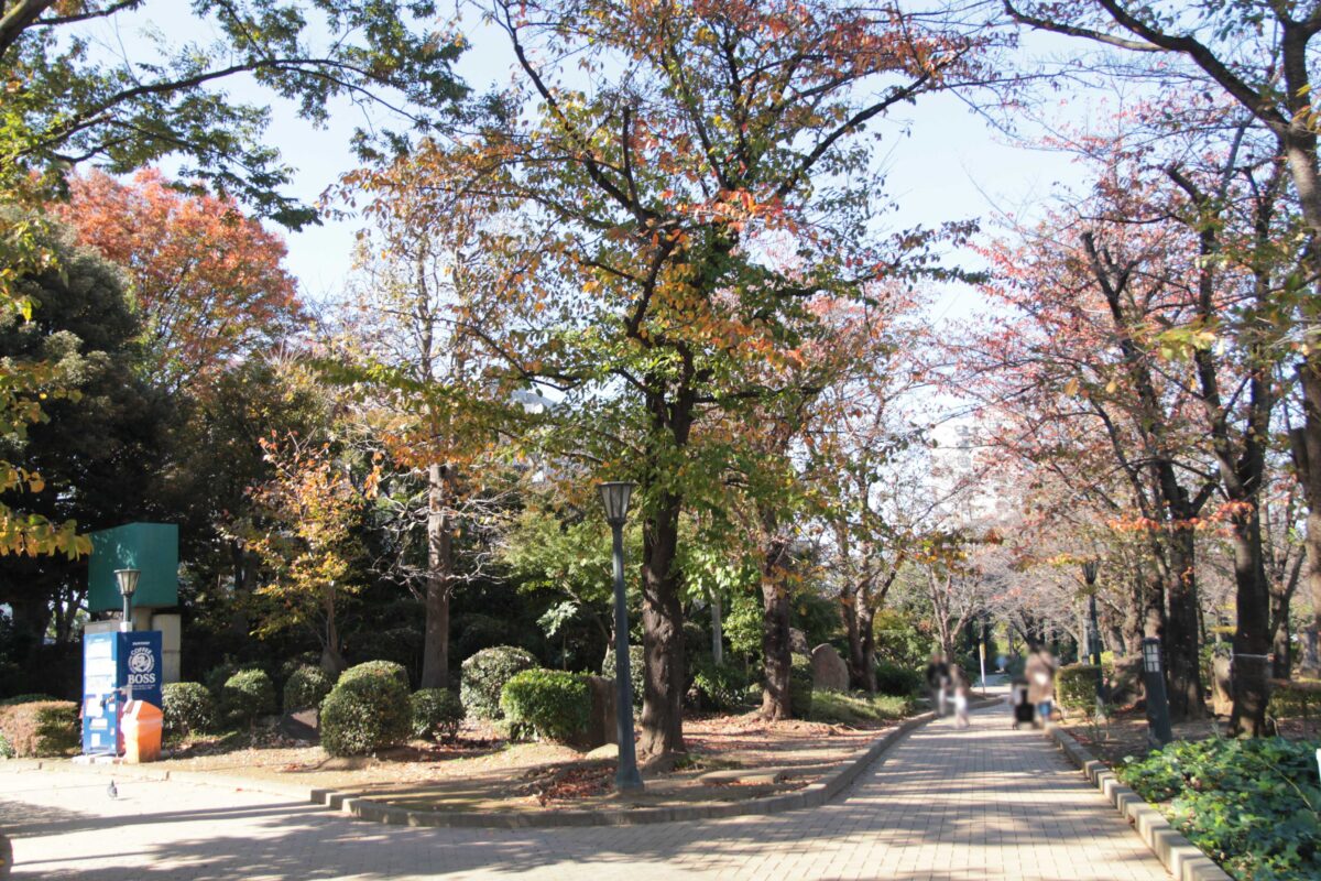 川口西公園