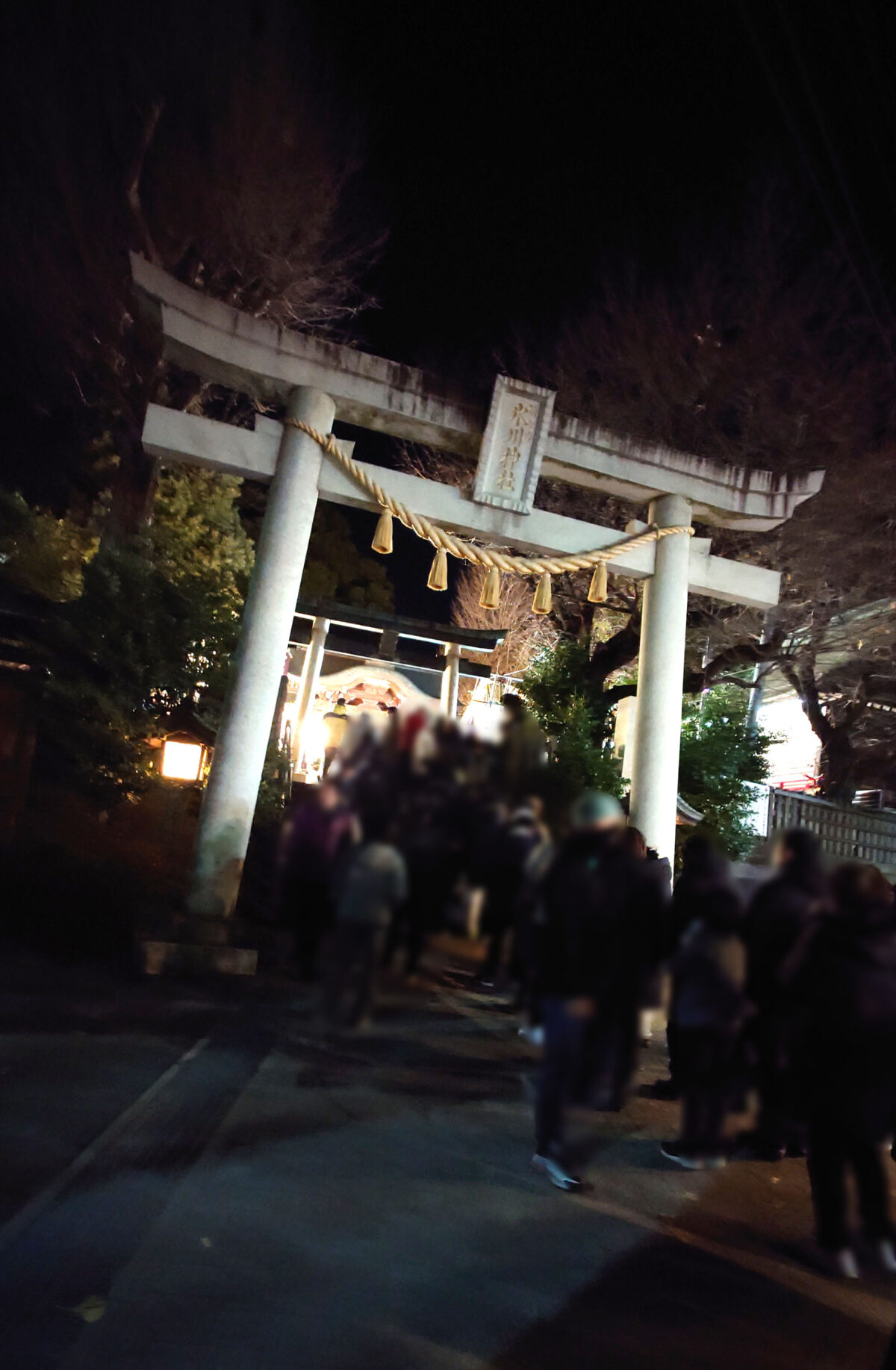 鳩ヶ谷氷川神社 おかめ市