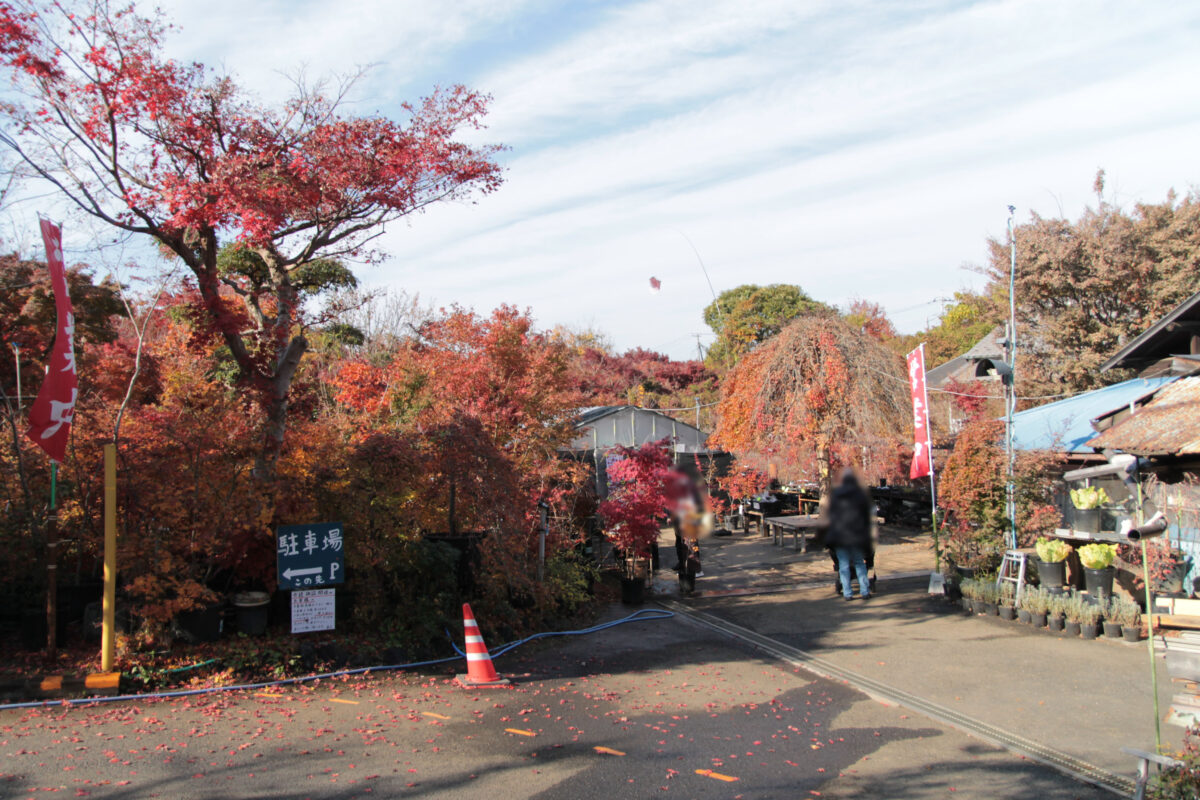 小林もみじ園　川口