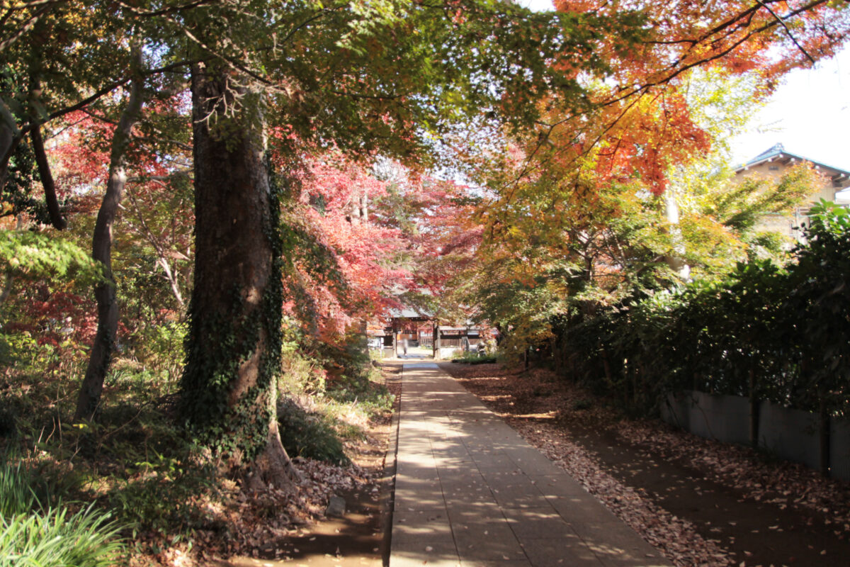 興禅院　川口