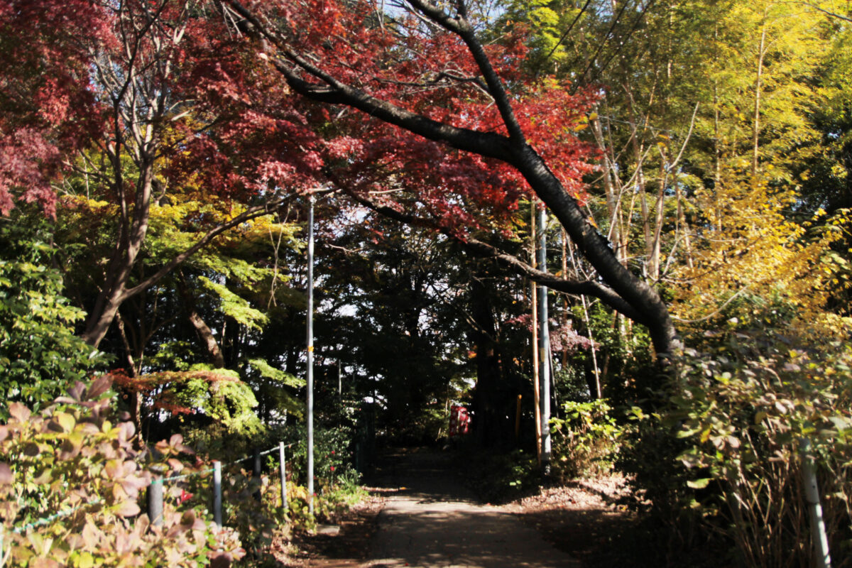 興禅院　川口