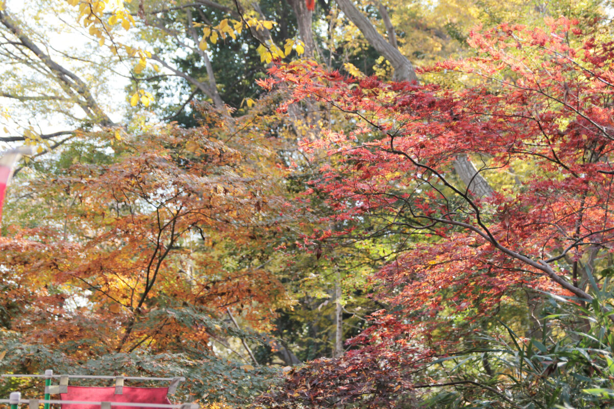 興禅院　川口