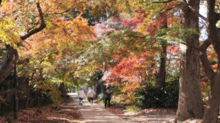 興禅院　川口