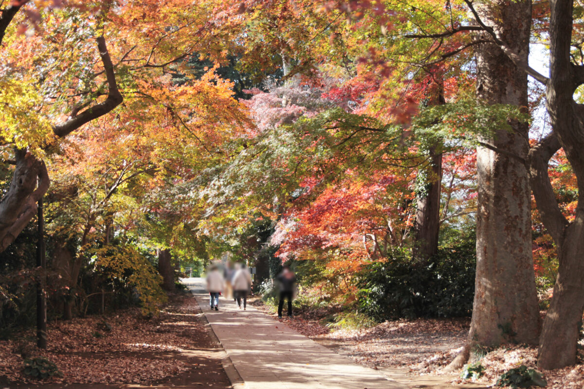 興禅院　川口