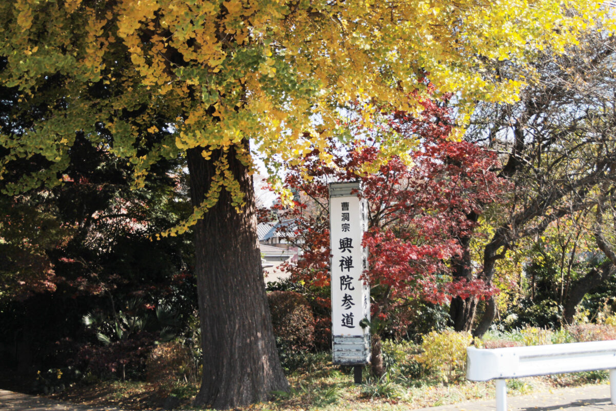 興禅院　川口