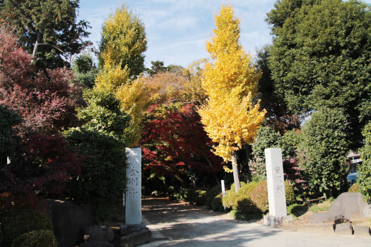 金剛寺　川口