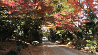 金剛寺　川口