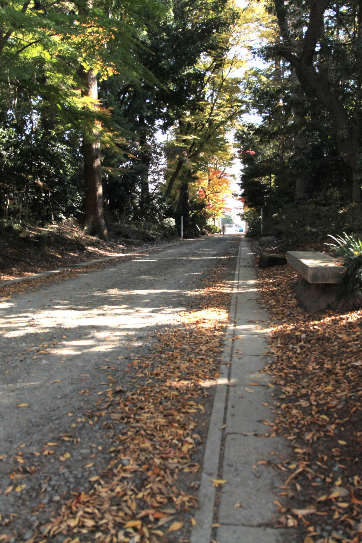 金剛寺　川口