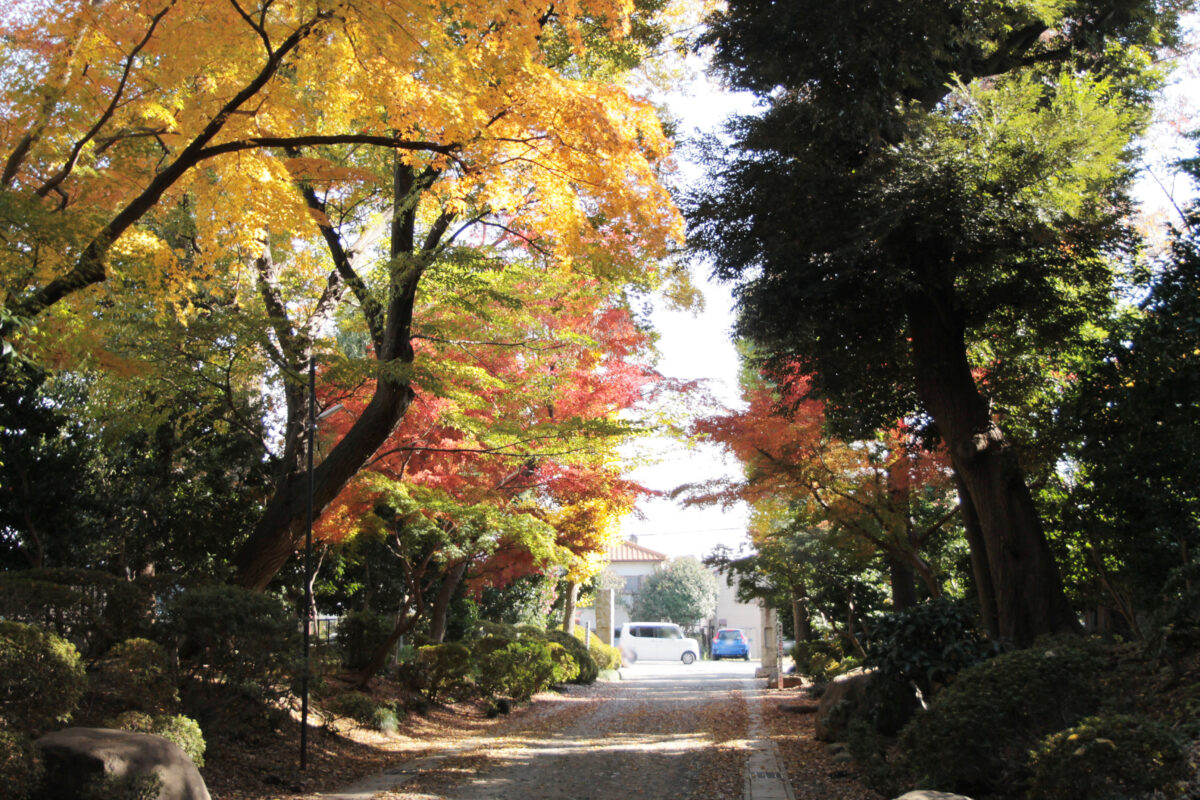 金剛寺　川口