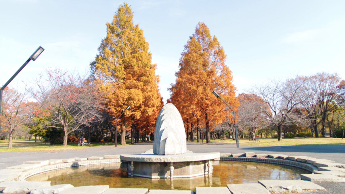 舎人公園 紅葉