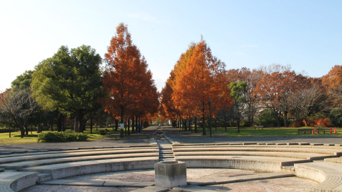 舎人公園 紅葉