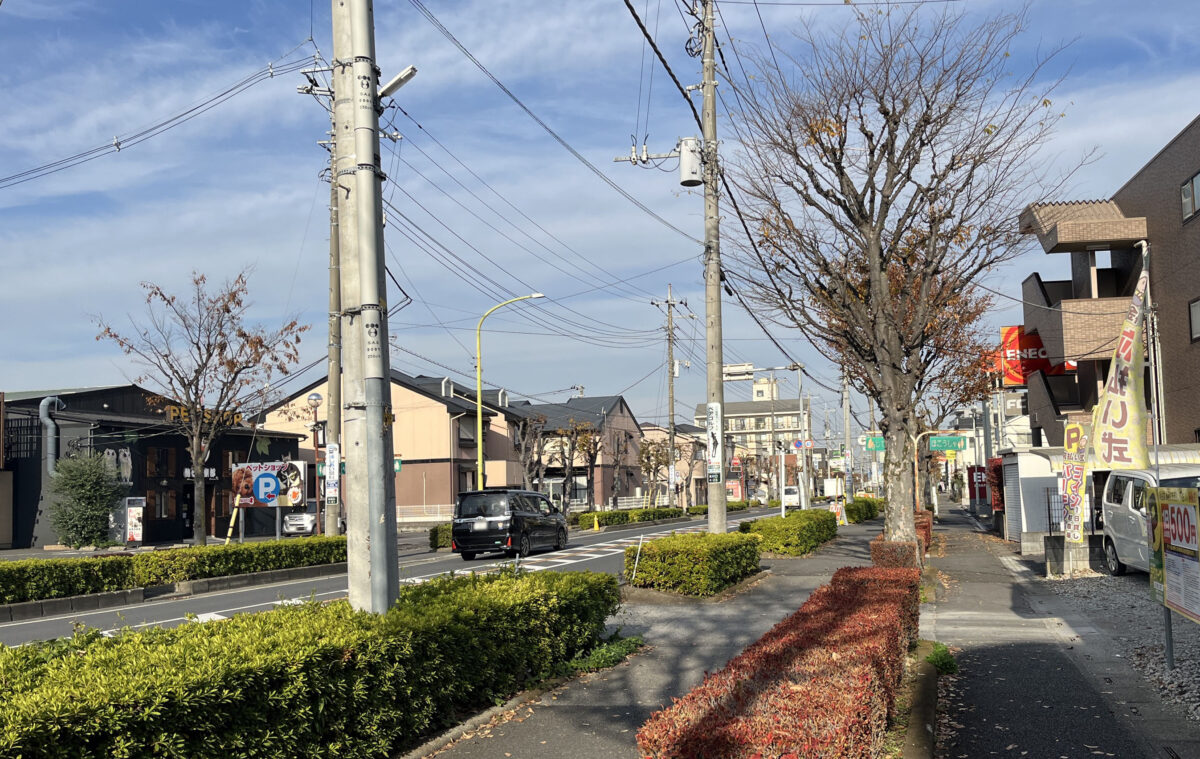 喫茶店 ピノキオ　川口