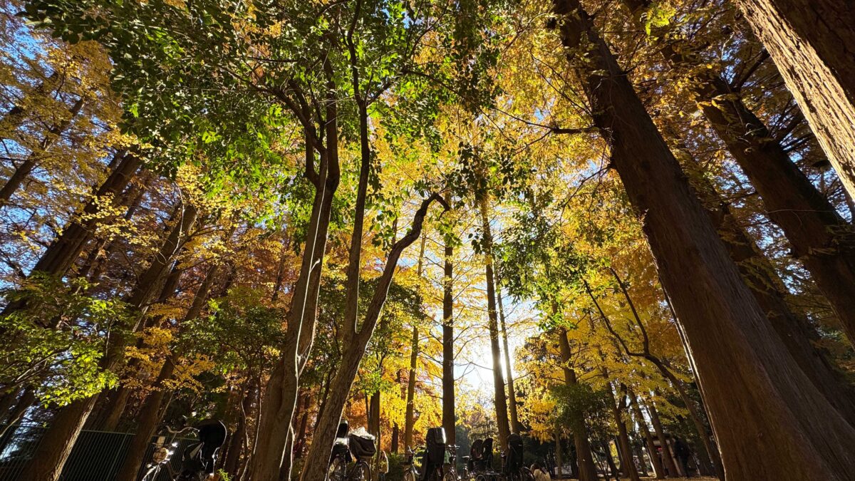 別所沼公園