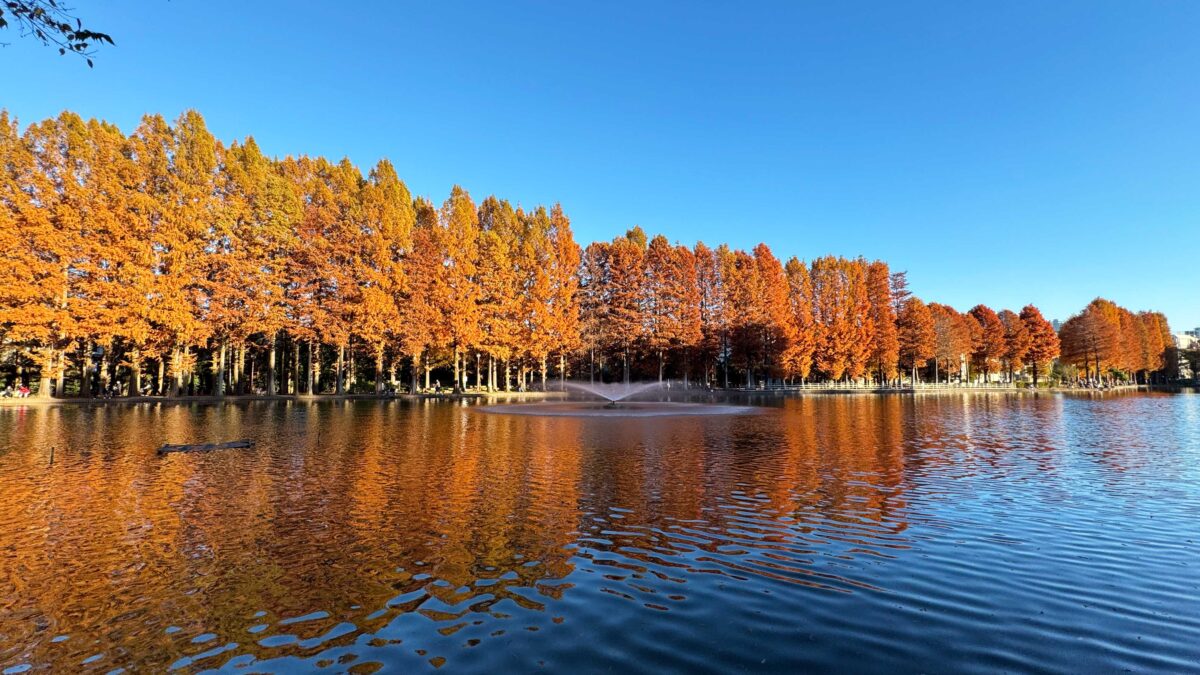 別所沼公園