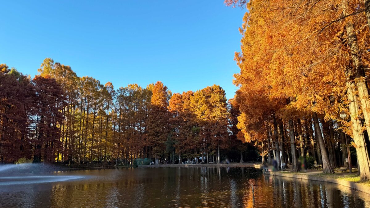 別所沼公園