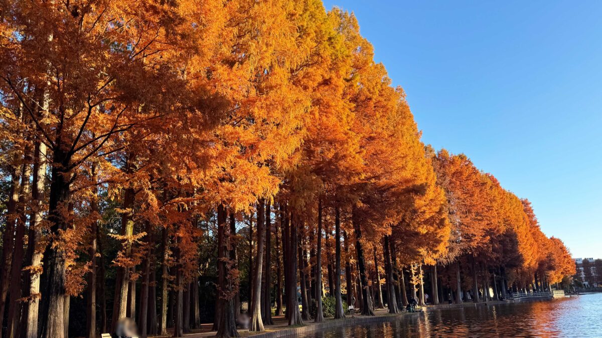 別所沼公園