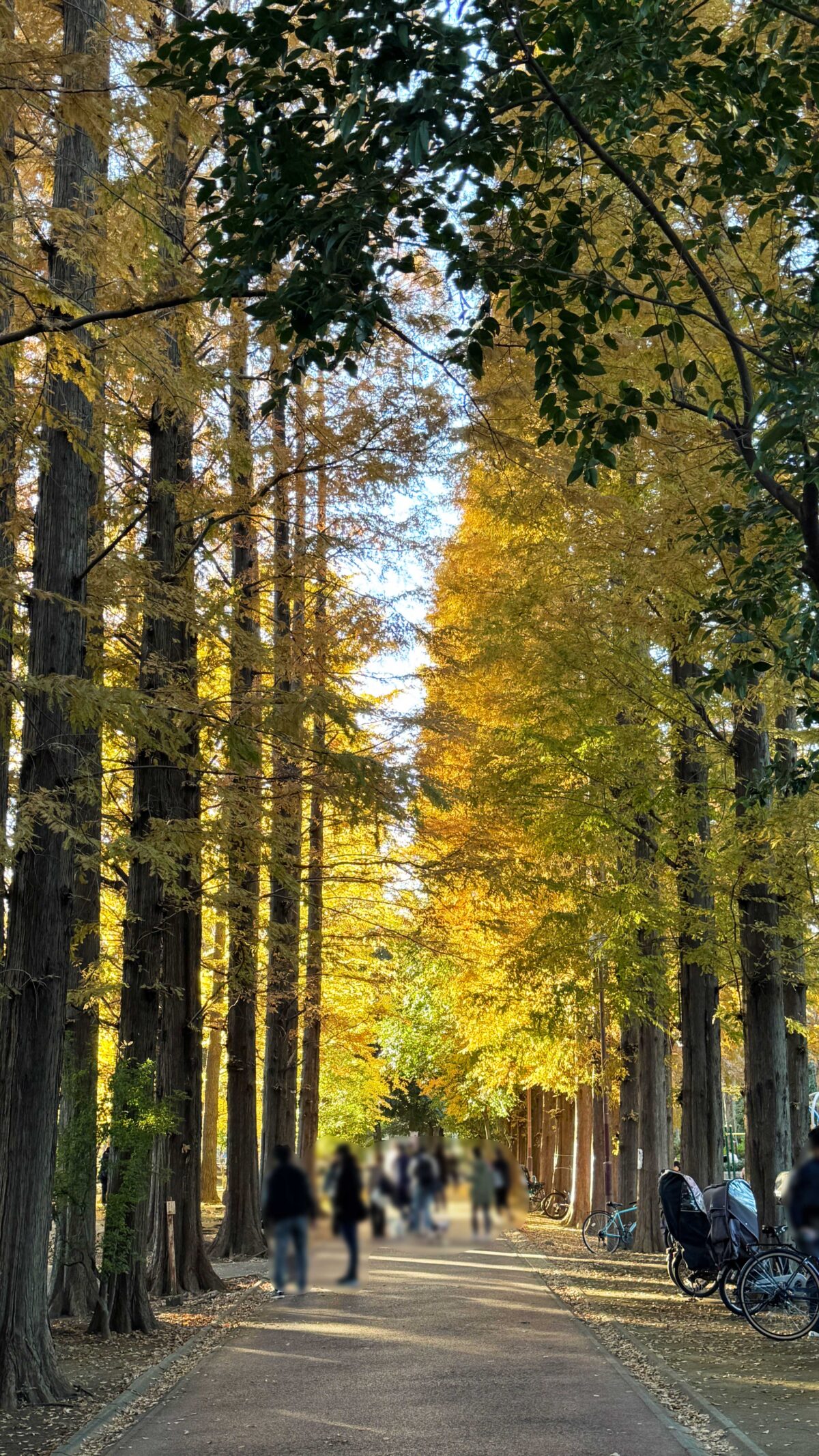 別所沼公園