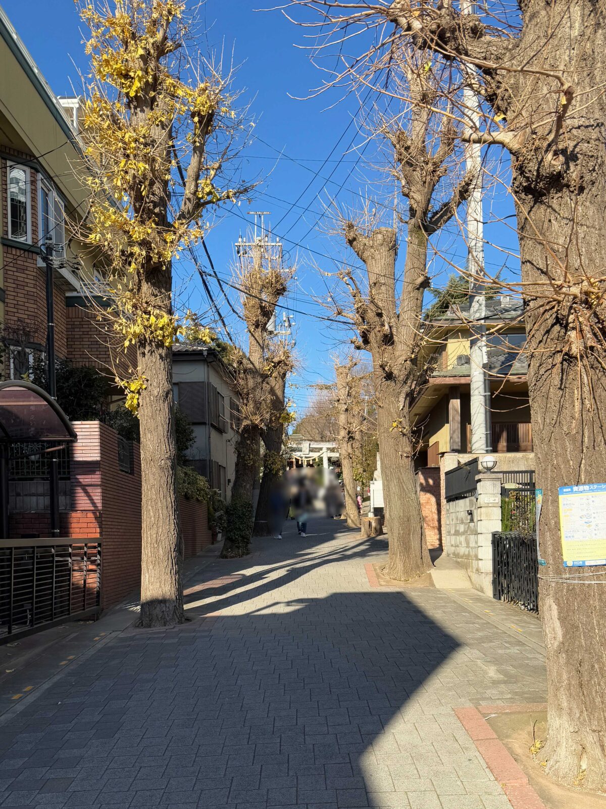 鳩ヶ谷氷川神社