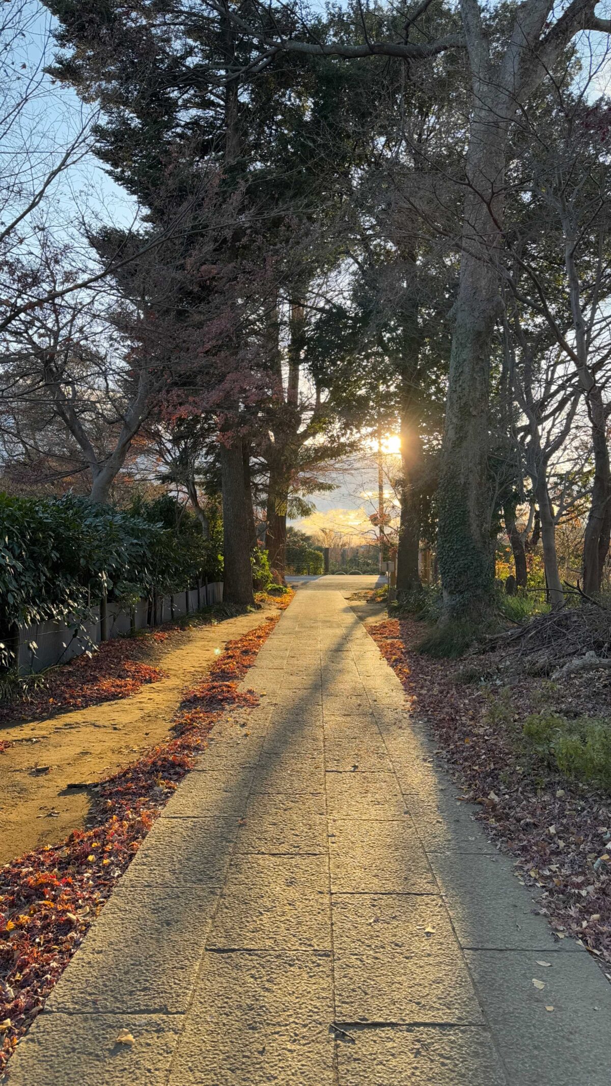 興禅院