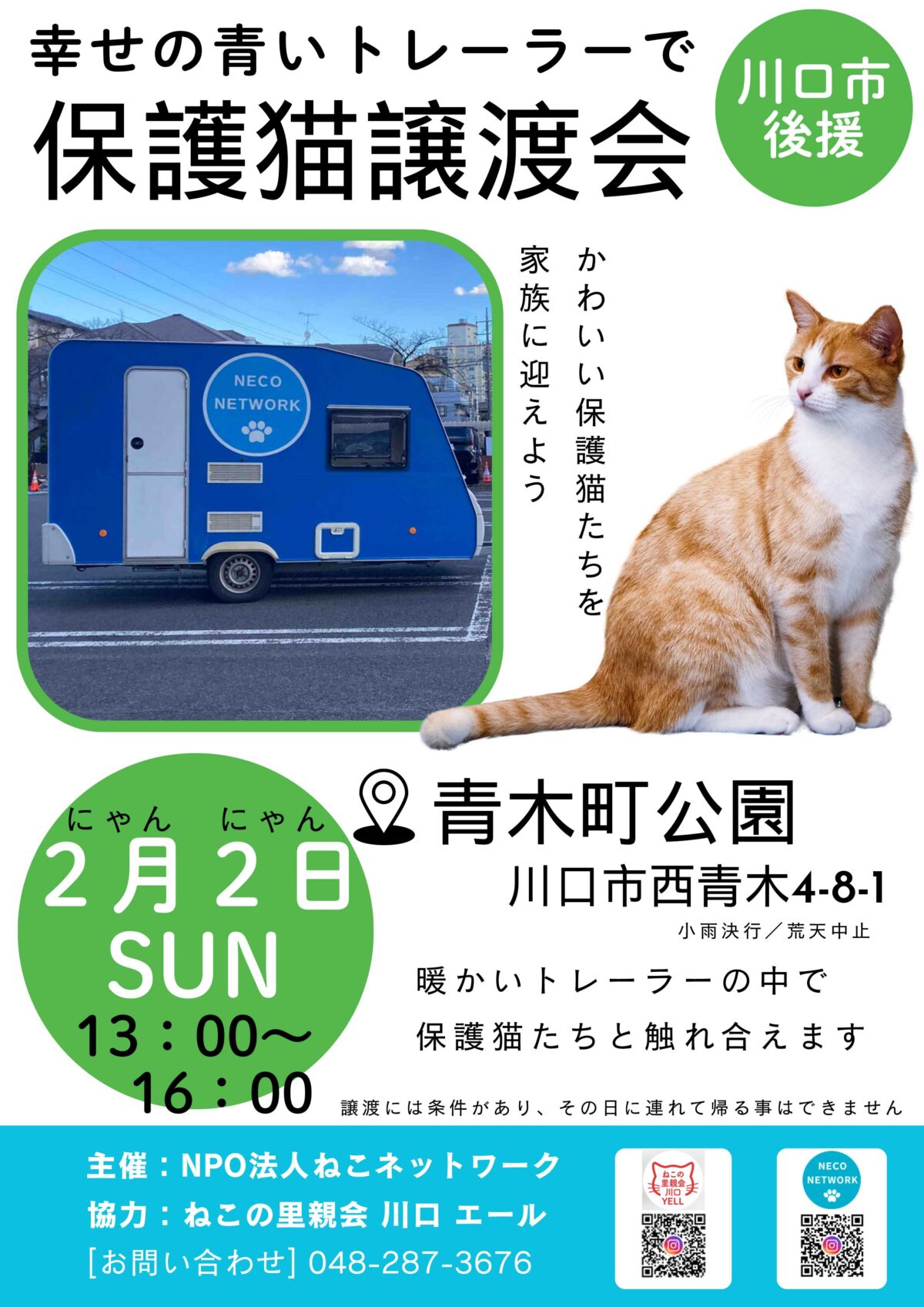 2/2保護猫譲渡会