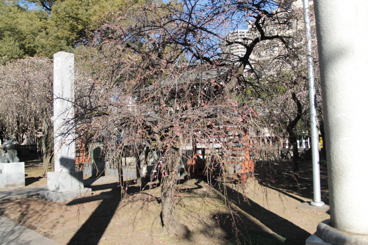 川口神社（梅ノ木天神社）