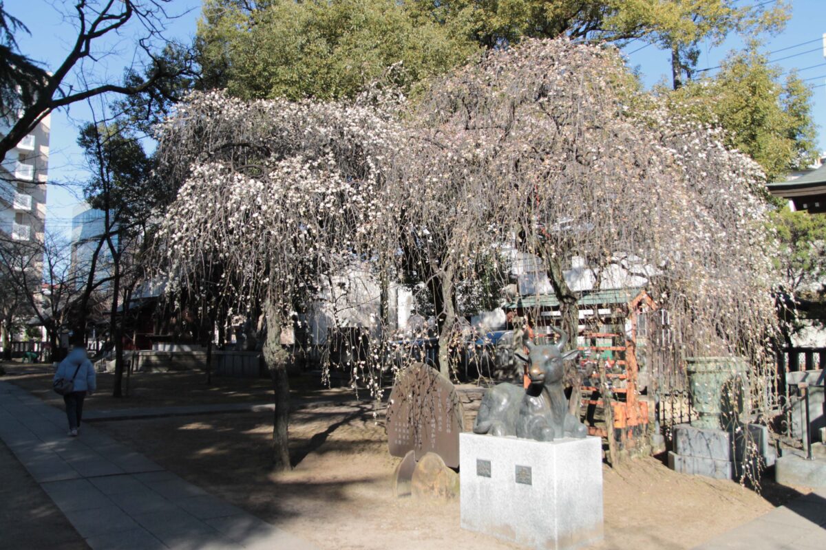 川口神社（梅ノ木天神社）