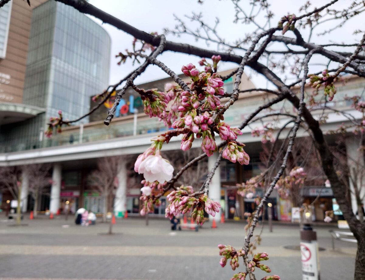 JR川口駅前