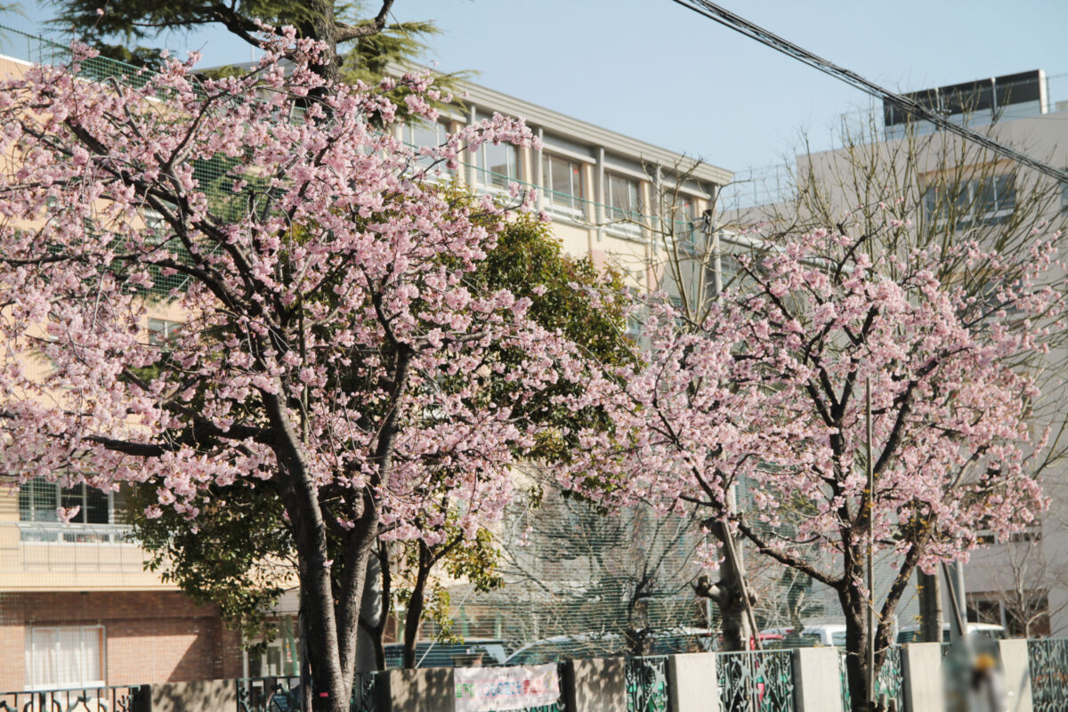 本町小学校　川口