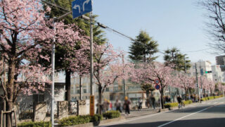 本町小学校　川口