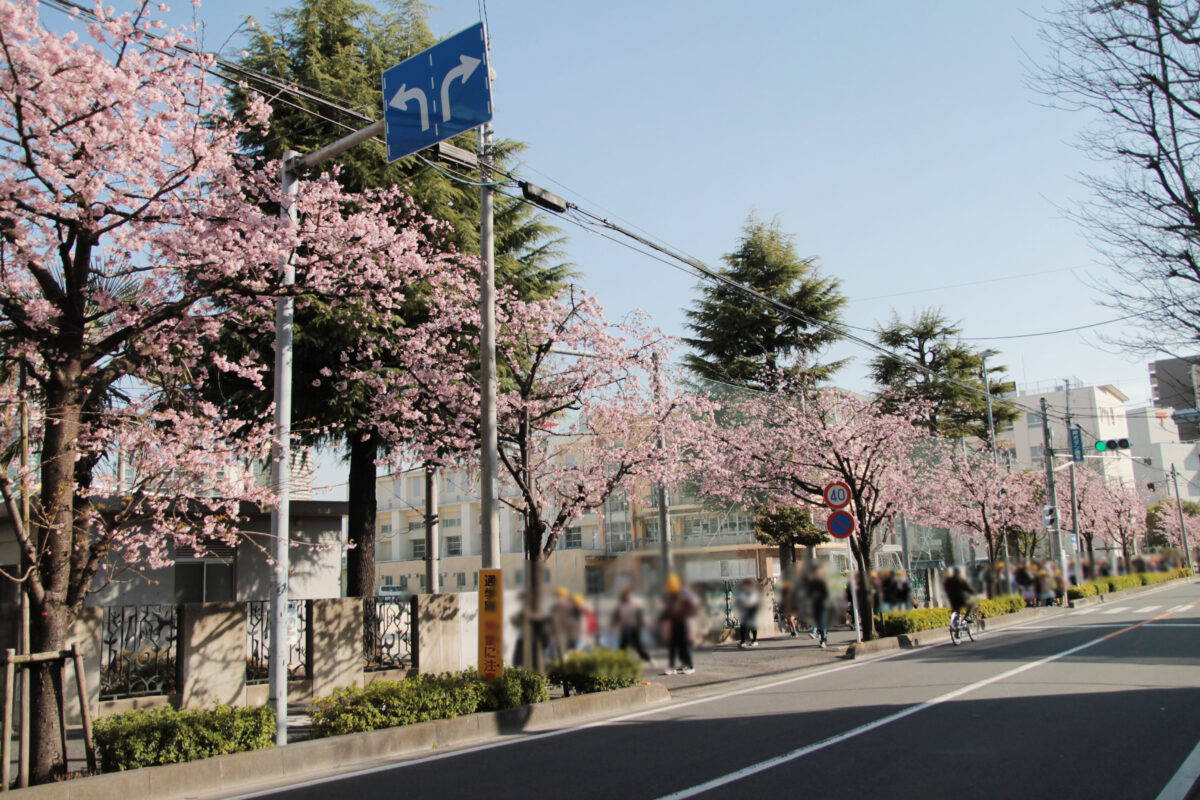 本町小学校　川口