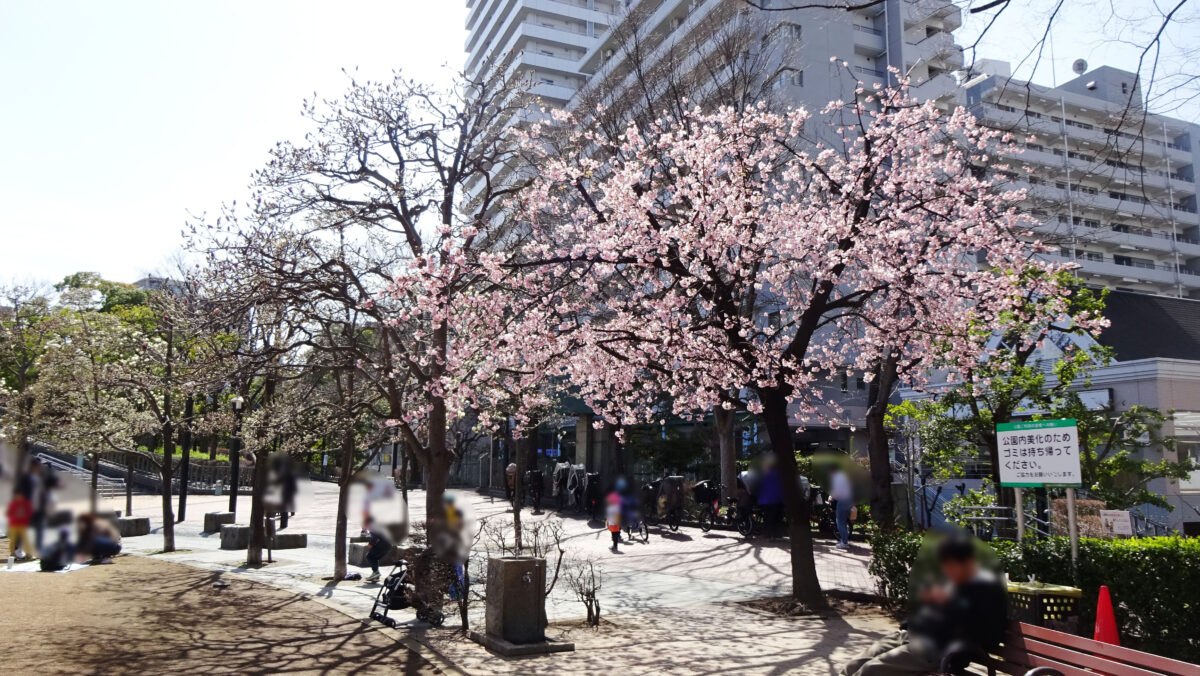 川口西公園