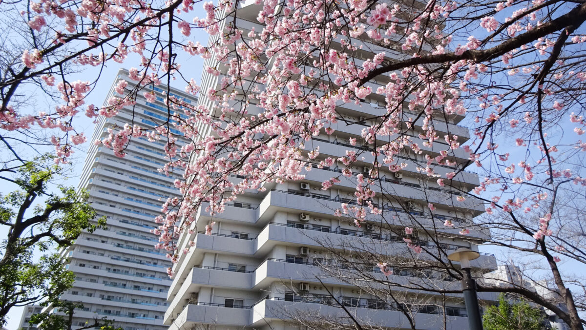 川口西公園