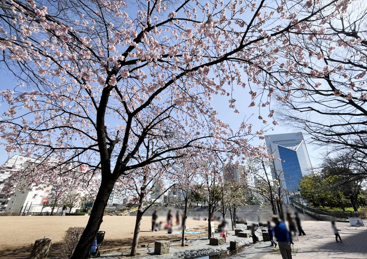 川口西口公園