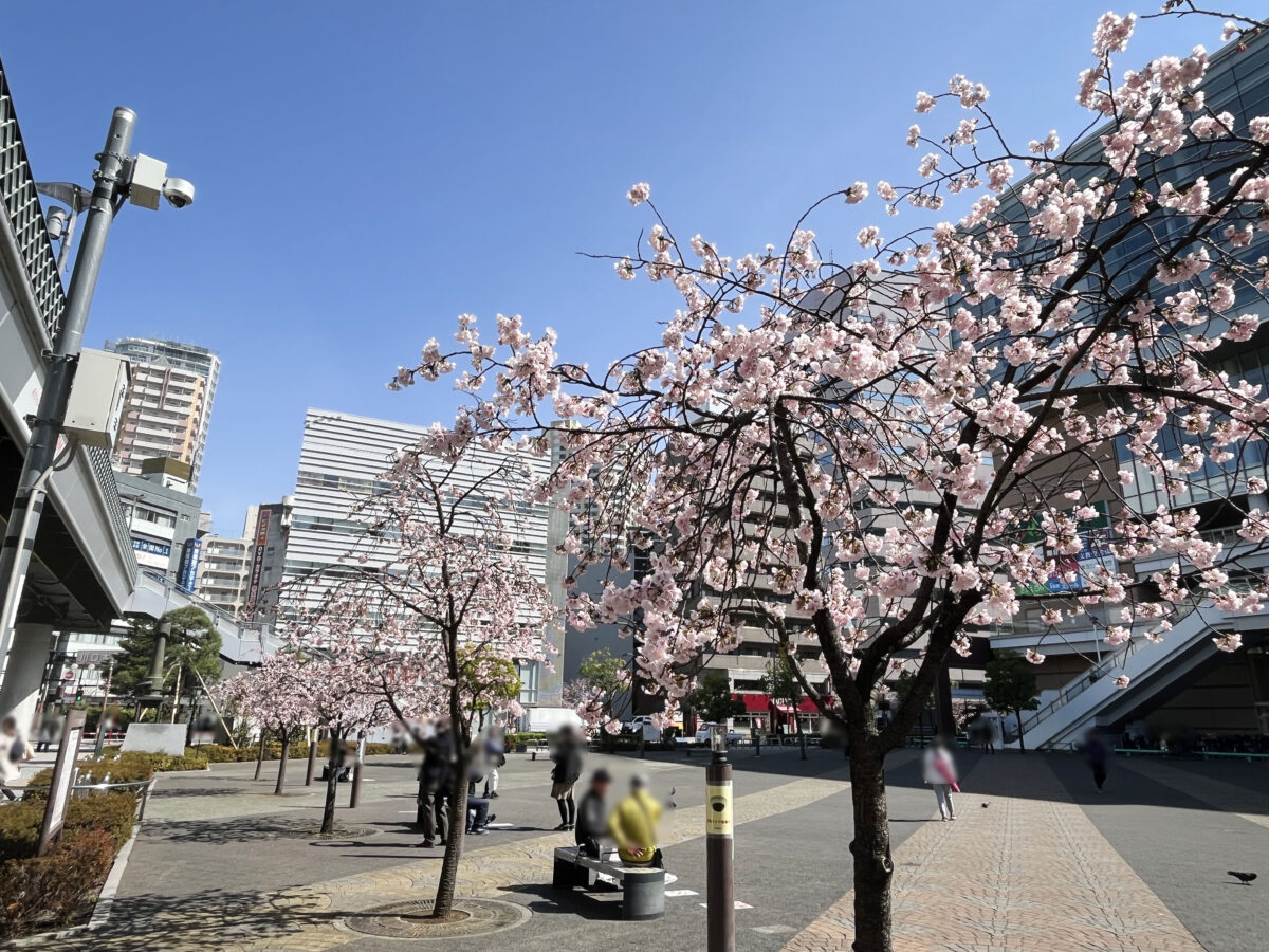 キュポ・ラ広場　川口