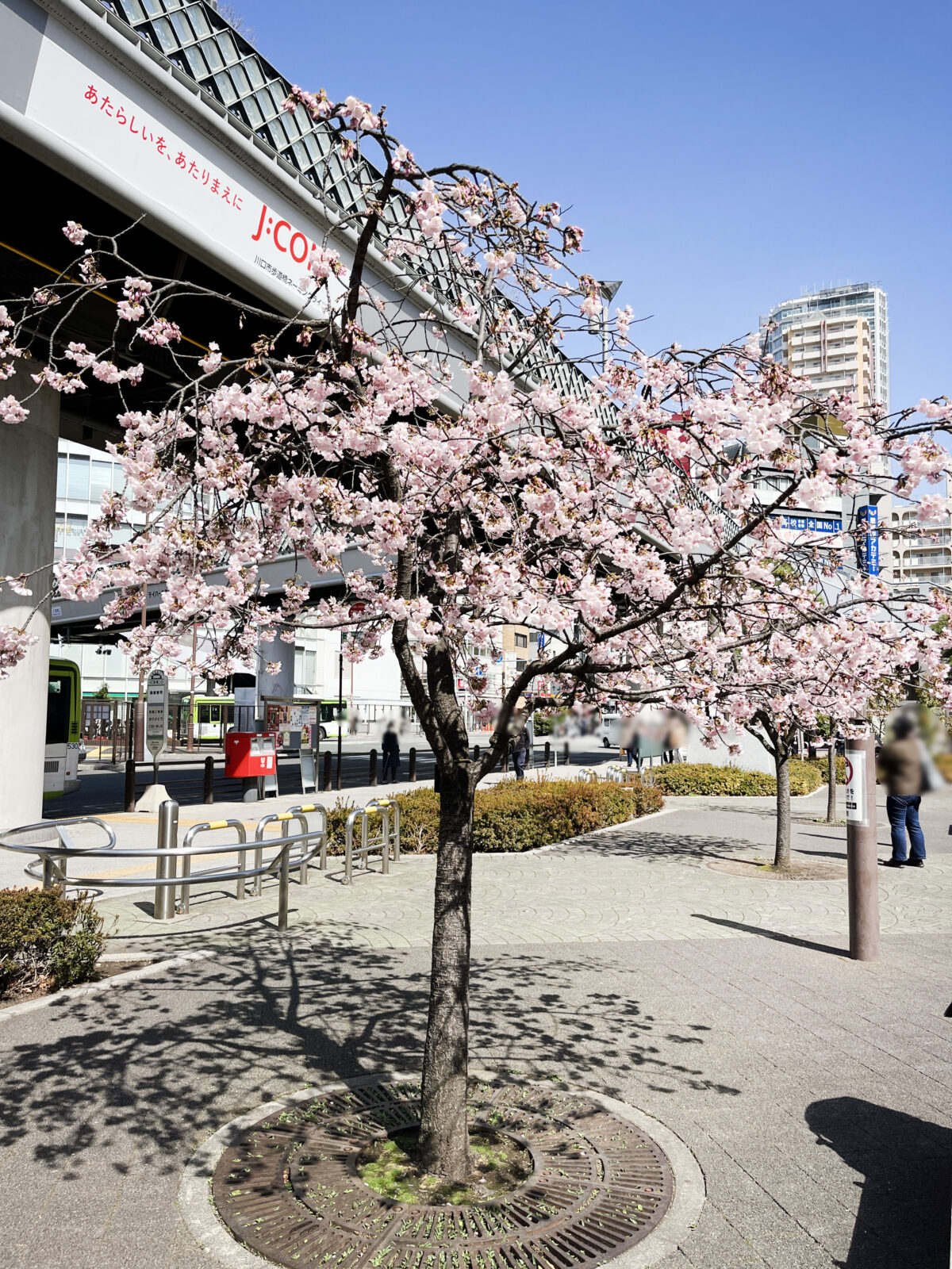 キュポ・ラ広場　川口