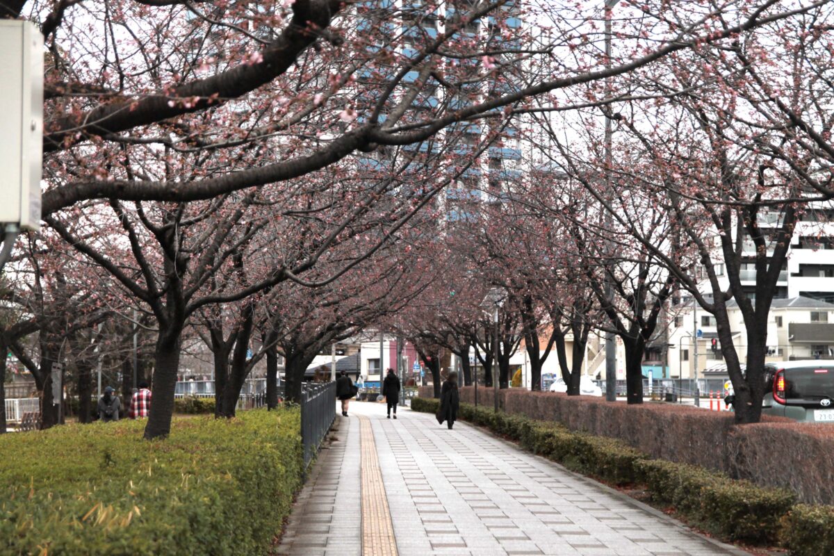 川口元郷駅前