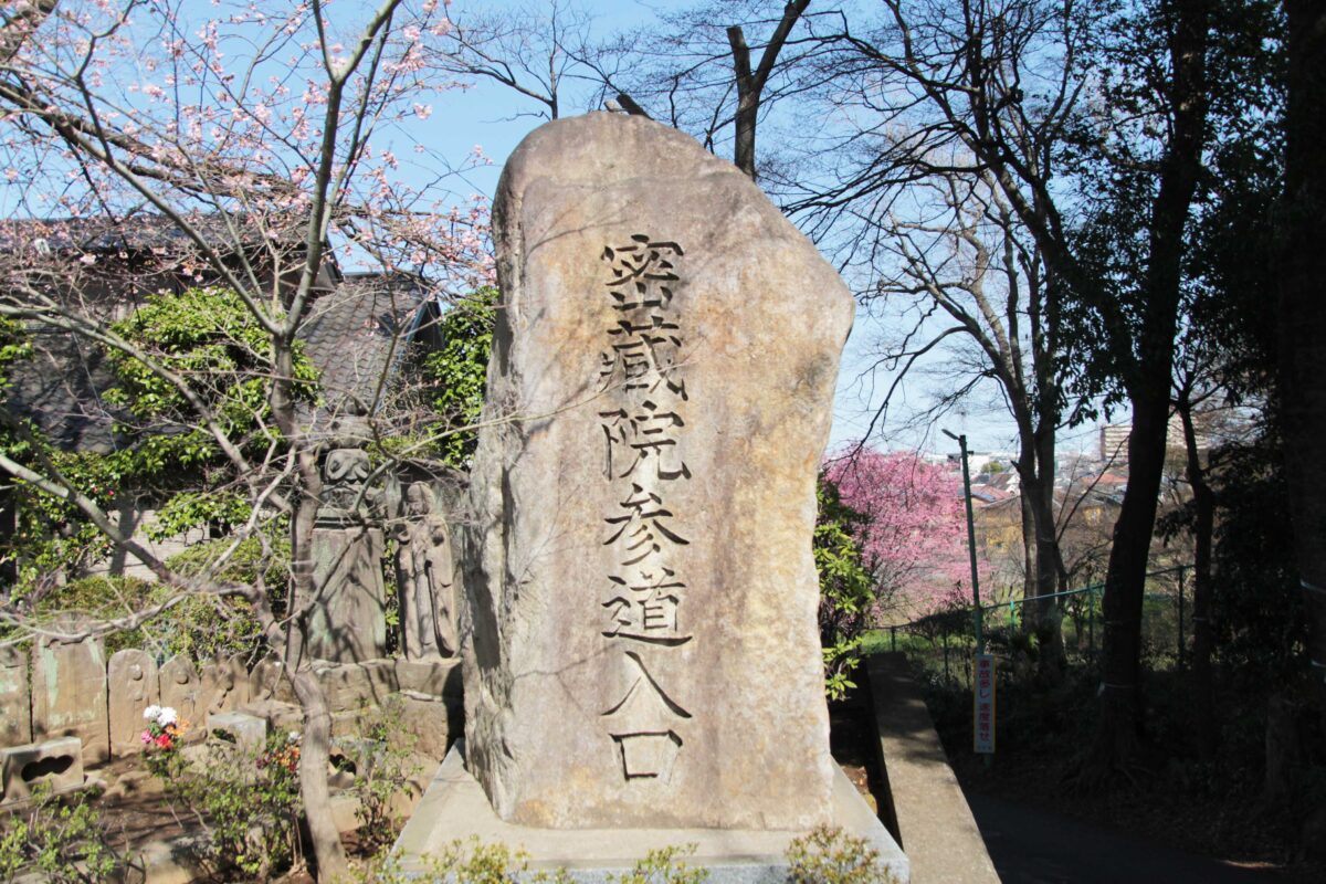 密蔵院 安行桜