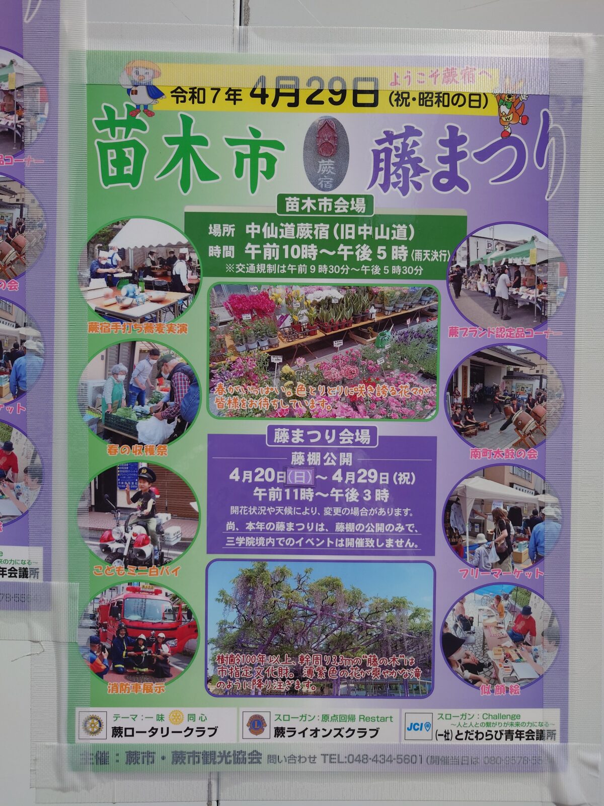 蕨 三学院 藤
