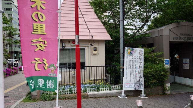 駒込・安行植木まつり