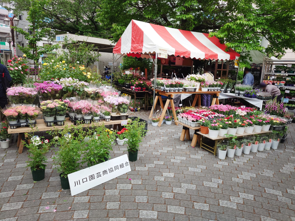 駒込・安行植木まつり