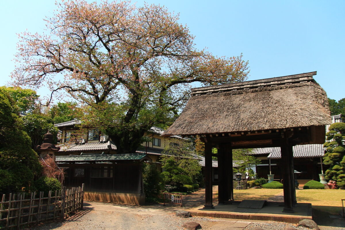 金剛寺