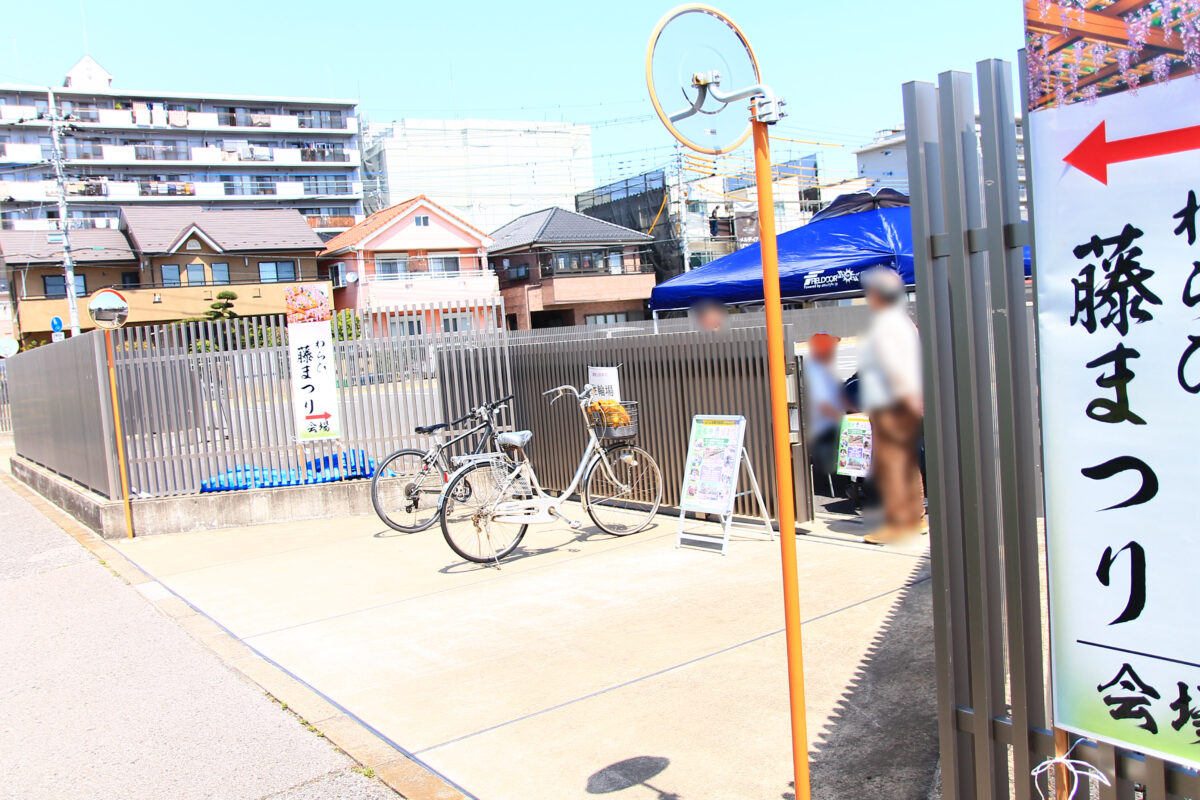 蕨 三学院
