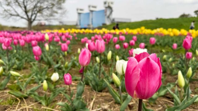 足立区都市農業公園