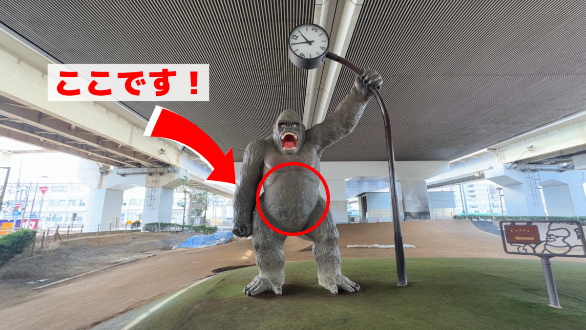 ゴリラ公園